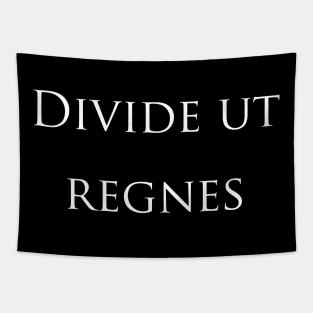 Divide And Conquer Julius Cesar Latin Quote Tapestry