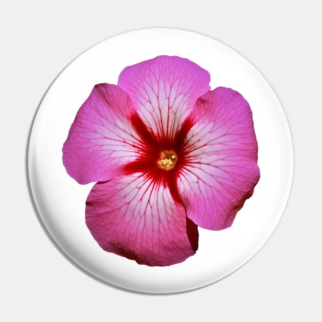 Pink Petunia Flower Graphic Art Print Pin by Cre8ily