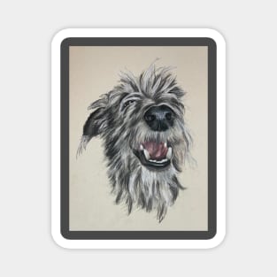 Scruffy Lurcher Magnet