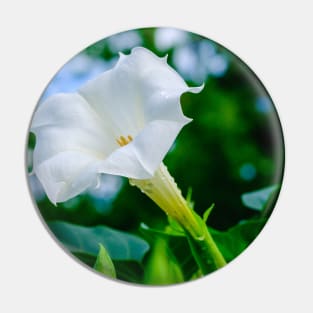 Datura Flower Photograph Pin