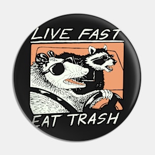 Graphic Raccoons Live Fast Eat Trash Pin