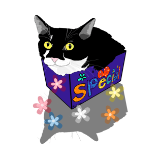 Cute Tuxedo cat sits and fits in a box  Copyright TeAnne T-Shirt