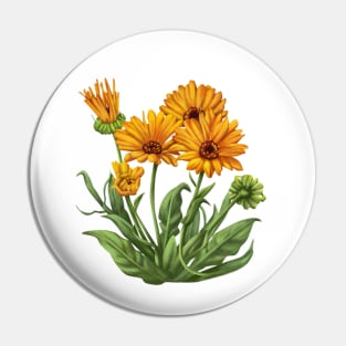 calendula Pin