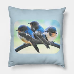 Swallows-8 Rd Pillow