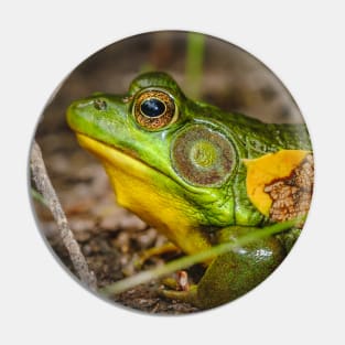 Big Ol' Green Frog Photograph Pin