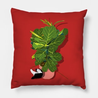 Cute tuxedo cat and Fiddle Leaf Fig Tree Copyright TeAnne Pillow