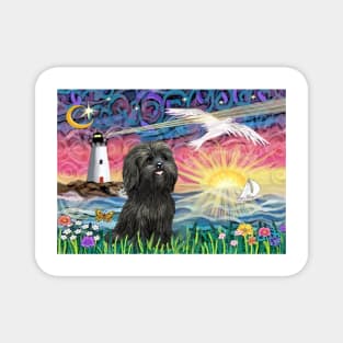 At the Shore with an Adorable Black Shih Tzu Magnet