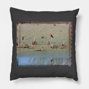 Vermillion Flycatcher and Reflection Framed Pillow