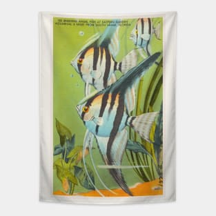 Angel fish at eastern garden aquarium, Florida postcard Tapestry