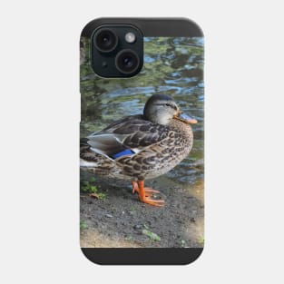 Mallard Duck On The Beach Phone Case