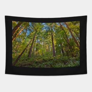 Muir Woods Tapestry