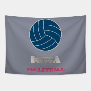 IOWA Volleyball Tapestry