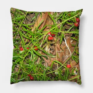 Red splash Pillow