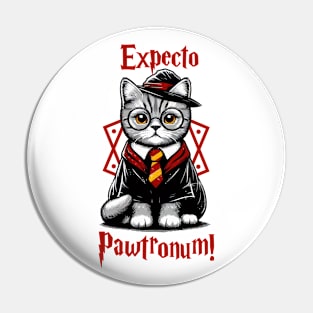 Hairy Pawter | Cat | Hero | Protagonist | Witch | Magic | Spells Pin