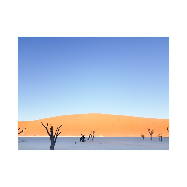 Sossusvlei dunes  landscape at Dead Vlei old trees, orange dunes dead tree and tourist in silhouette on salt pan by brians101