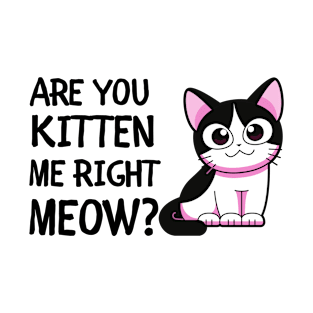 Are you kitten me right meow T-Shirt