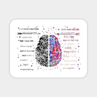 Left and right brain function Magnet