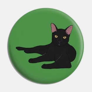 zilla the cat Pin