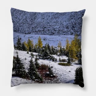 Gold Larch Trees. Pillow