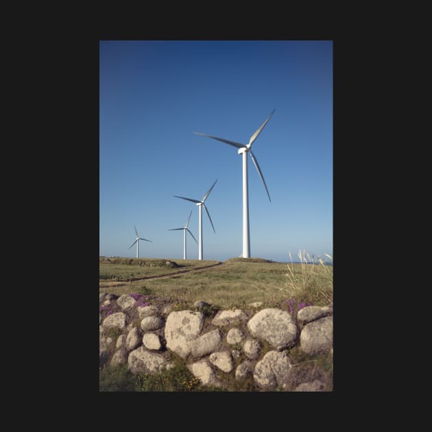 Carnsore Point Wind Farm by shaymurphy