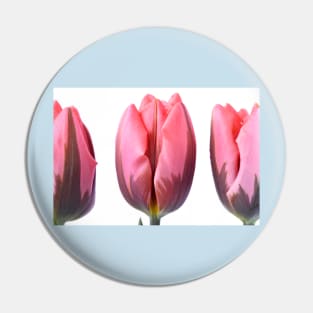 Tulipa &#39;Pretty Princess&#39; Triumph Group Tulip Pin