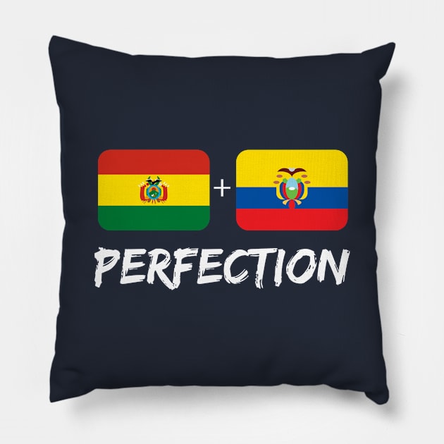 Bolivian Plus Ecuadorian Perfection Mix Flag Heritage Gift Pillow by Just Rep It!!