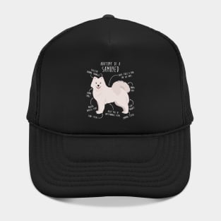 Samoyed Dog Anatomy Hat