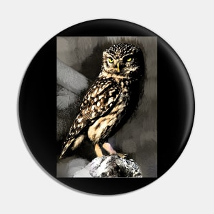 Night owl Pin