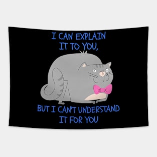 I CAN EXPLAIN IT TO YOU, BUT I CAN'T UNDERSTAND IT FOR YOU Tapestry