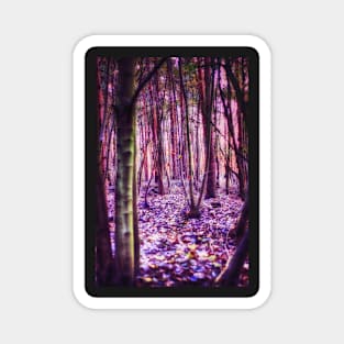 Enchanted Wood Magnet