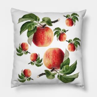 Fruit Apple Pillow