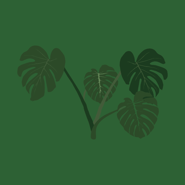 Monstera deliciosa by daidai