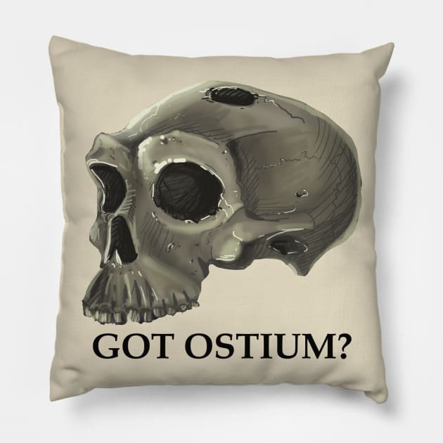 I Cast a Skull on You Pillow by The Ostium Network Merch Store