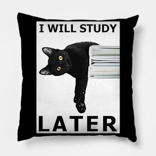 Cat: I Will Study Later Pillow