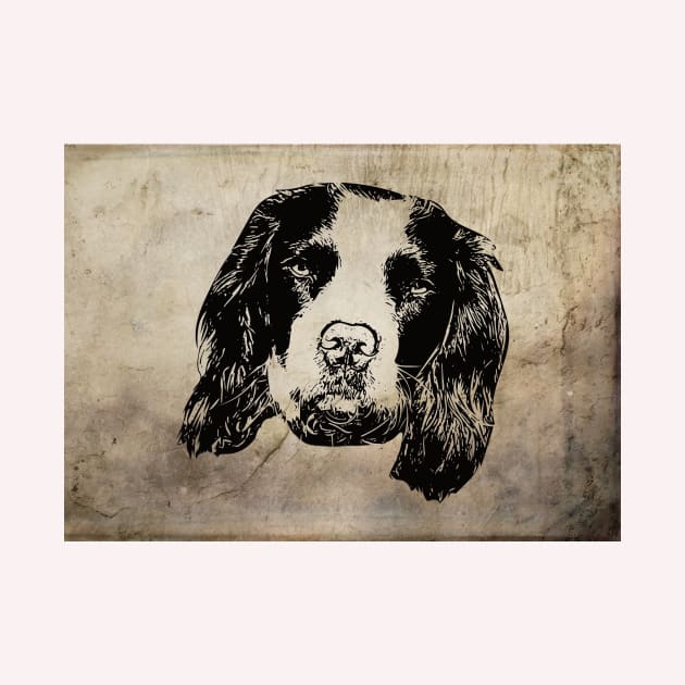 English Springer Spaniel by DoggyStyles