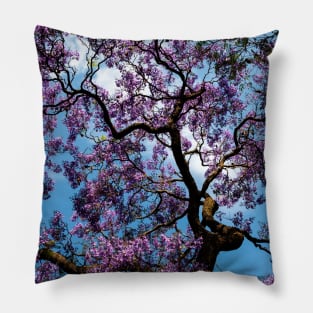 Jacaranda Pillow