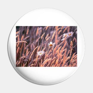 Daisies in a breeze Pin