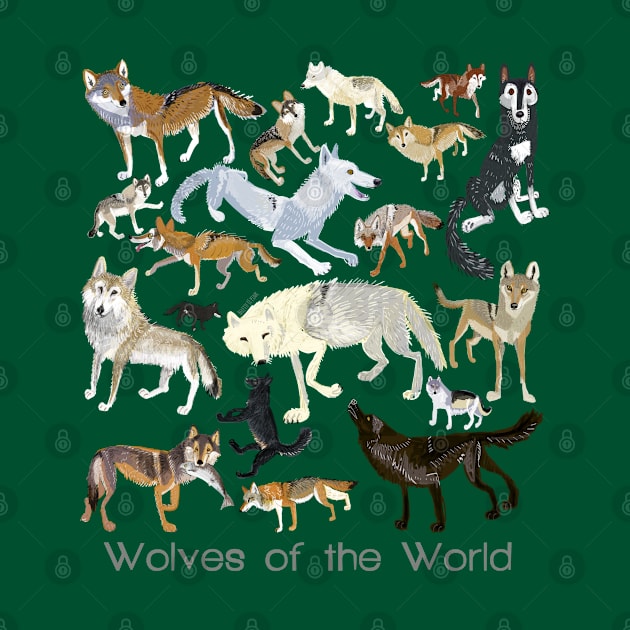 Wolves of the world poster by belettelepink