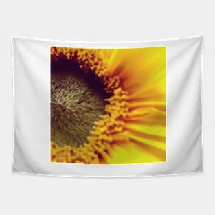 Macro sunflower Tapestry