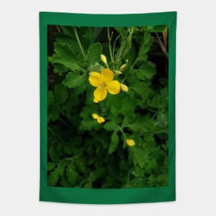 Greater celandine flower Tapestry