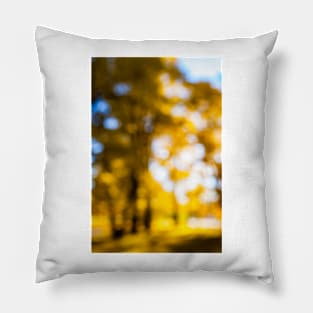 Defocused nature background Pillow