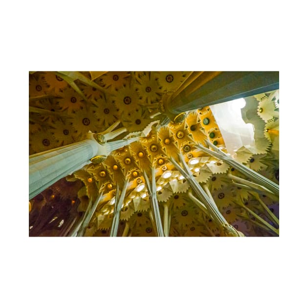 The Canopy Above, La Sagrada Familia by BrianPShaw