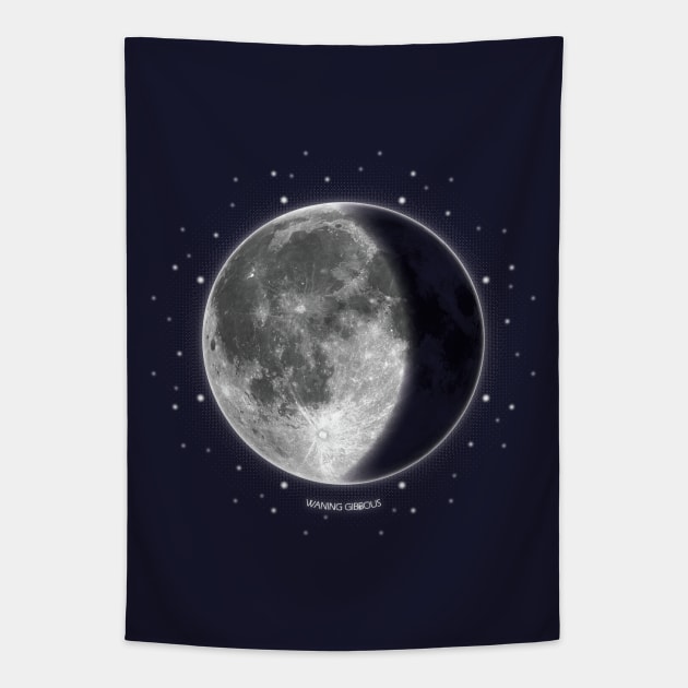 Waning Crescent - Moon Phrases Tapestry by meownarchy