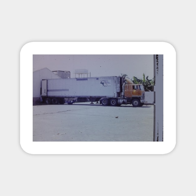 Afternoon nap in the shadow of a trailer truck Guatemala 1991 Magnet by Roland69