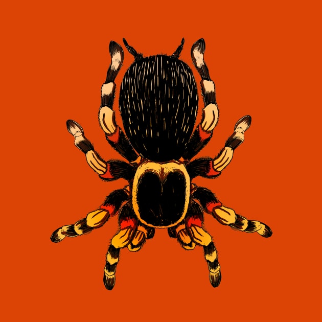 Tarantula by Mended Arrow