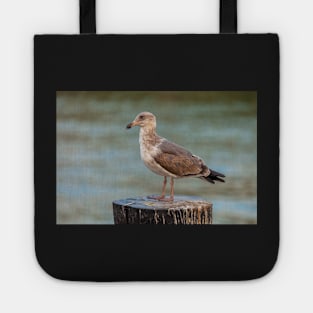 Western Gull Tote