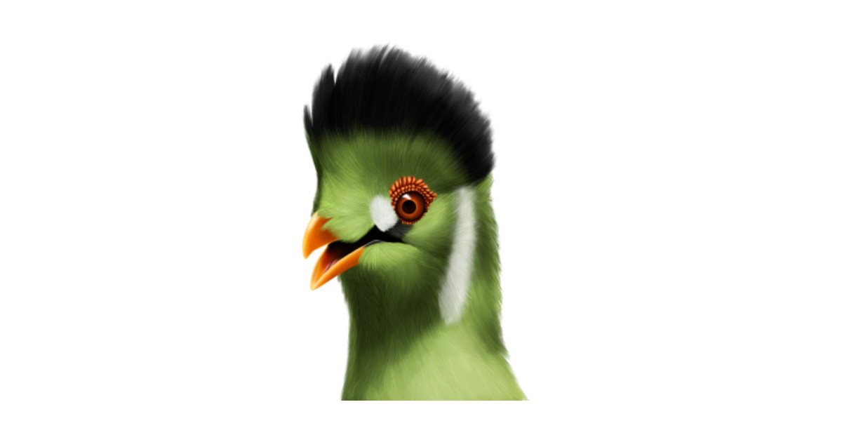 Whitecheeked Turaco By Artofnym