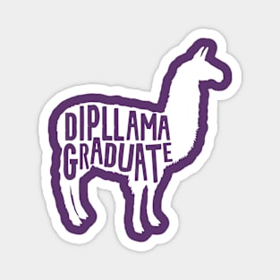 Dipllama Graduate Magnet