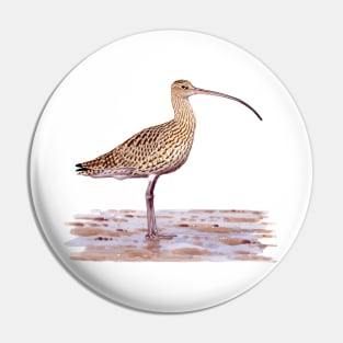 Far-eastern Curlew painting Pin