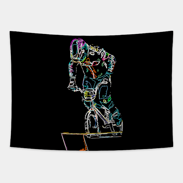 bmx Tapestry by rickylabellevie